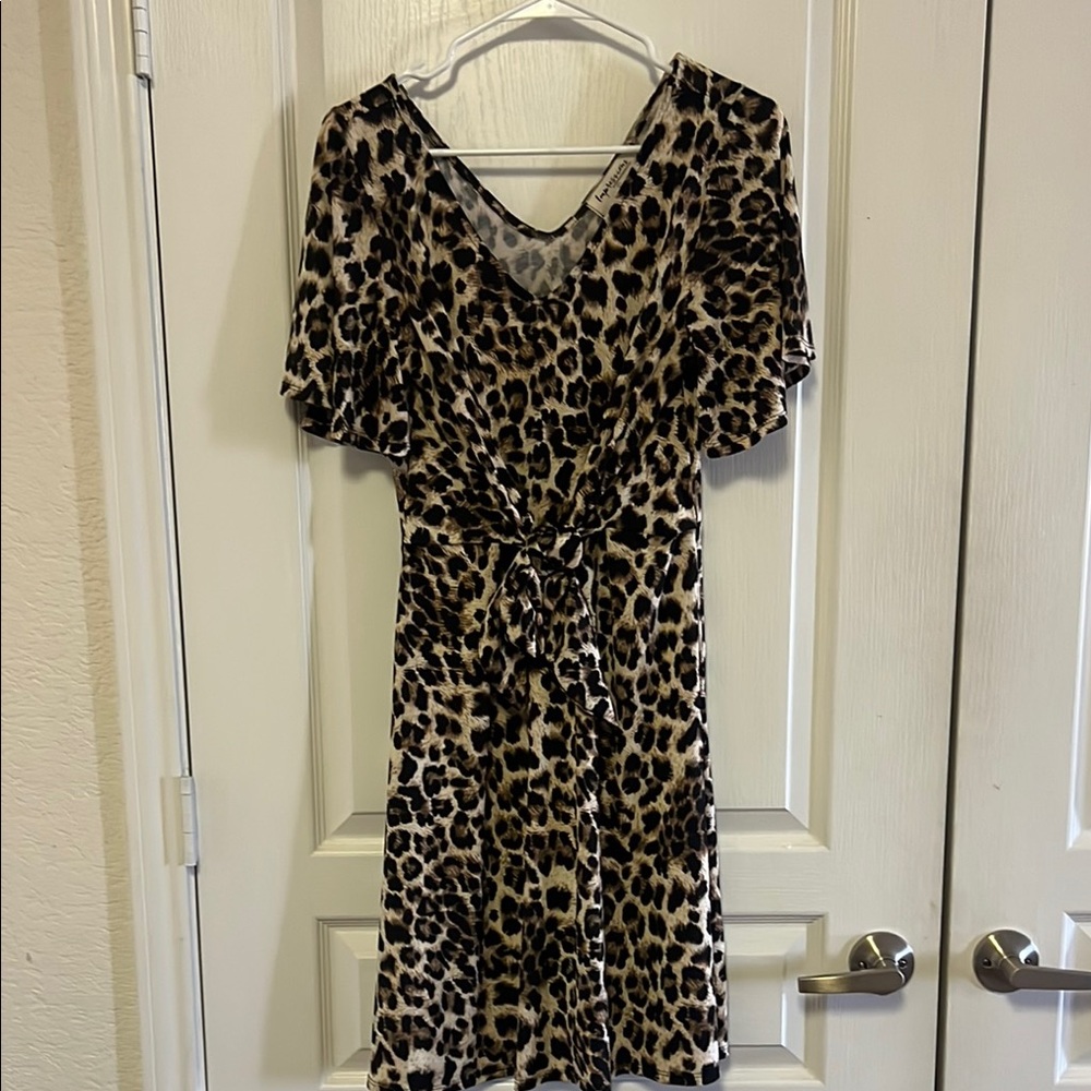 Leopard Print V-Neck Tie Front Dress